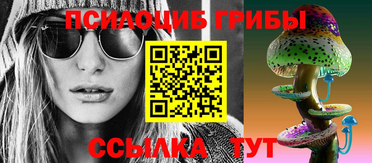 Звенигород  где продают наркотики  Вход с VPN  Псилоцибиновые грибы Cubensis 
